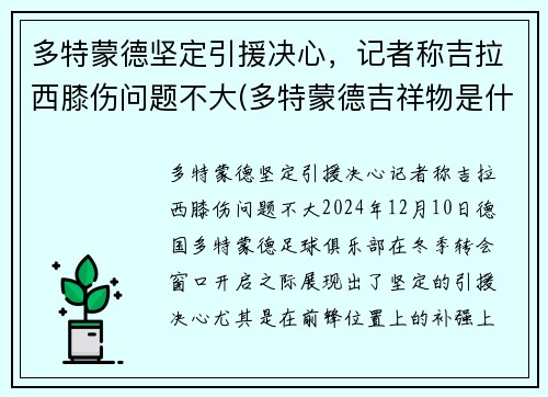 多特蒙德坚定引援决心，记者称吉拉西膝伤问题不大(多特蒙德吉祥物是什么动物)