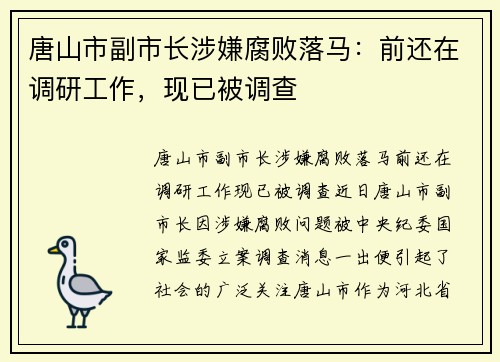 唐山市副市长涉嫌腐败落马：前还在调研工作，现已被调查