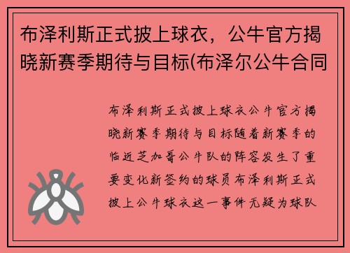 布泽利斯正式披上球衣，公牛官方揭晓新赛季期待与目标(布泽尔公牛合同)